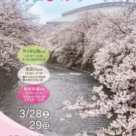 2026町田さくらまつり